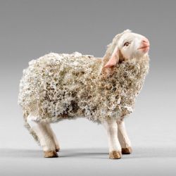 Immagine di Agnello con lana 12 cm (4,7 inch) Presepe contadino Rustika in legno con abiti in stoffa
