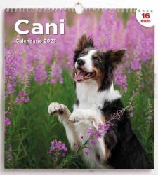 Picture of Dogs 2023 wall Calendar cm 31x33 (12,2x13 in)