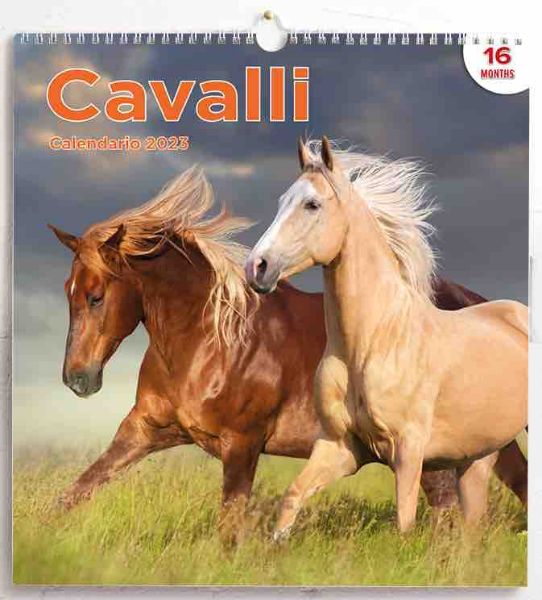 Immagine di Horses 2024 wall Calendar cm 31x33 (12,2x13 in)