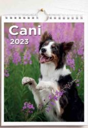 Imagen de Dogs 2023 wall and desk calendar cm 16,5x21 (6,5x8,3 in)