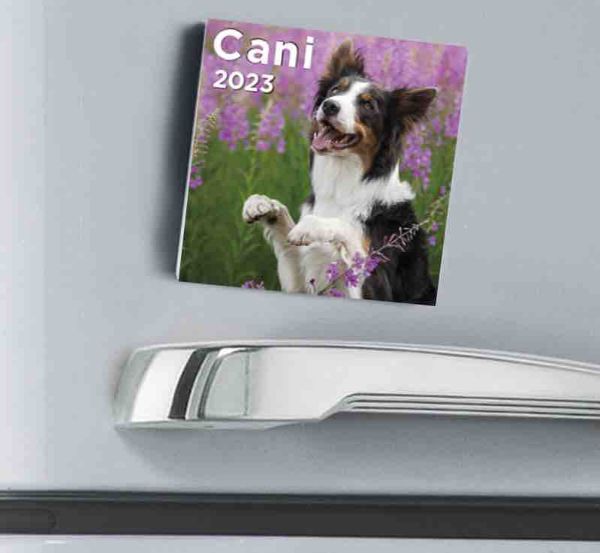 Immagine di Dogs  2023 magnetic calendar cm 8x8 (3,1x3,1 in)