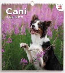 Picture for category Dog Desk Calendars 2027