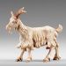 Picture of Goat standing cm 12 (4,7 inch) Immanuel dressed Nativity Scene oriental style Val Gardena wood statue