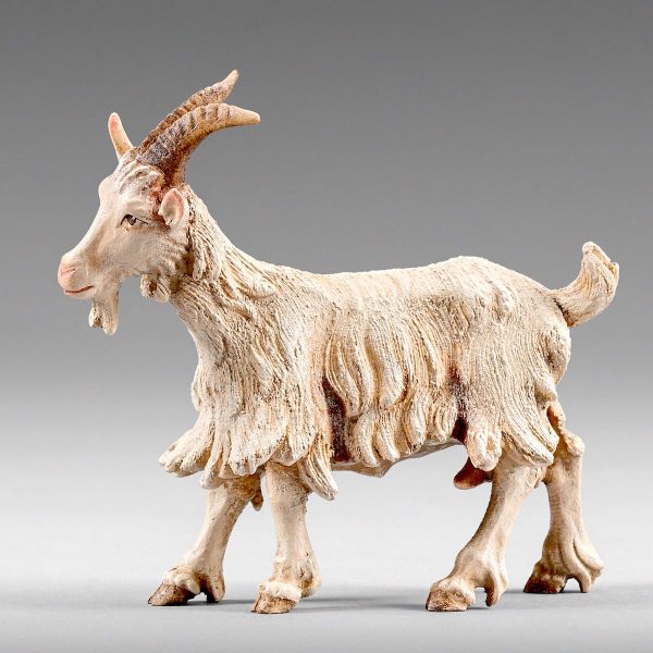 Picture of Goat standing cm 14 (5,5 inch) Immanuel dressed Nativity Scene oriental style Val Gardena wood statue