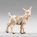 Picture of Little Goat standing cm 14 (5,5 inch) Immanuel dressed Nativity Scene oriental style Val Gardena wood statue