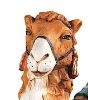 Immagine di Cammello seduto Presepe Fontanini 52 cm resina grande da esterno