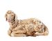 Picture of Sitting Sheep cm 65 (27 Inch) Fontanini Nativity Statue for Outdoor use, hand painted Resin