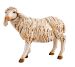 Picture of Standing Sheep cm 52 (20 Inch) Fontanini Nativity Statue hand painted Plastic