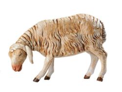 Picture of Standing Sheep cm 65 (27 Inch) Fontanini Nativity Statue for Outdoor use, hand painted Resin