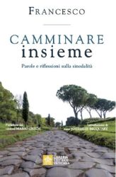 Picture of Camminare Insieme Parole Sulla Sinodalità Papa Francesco 