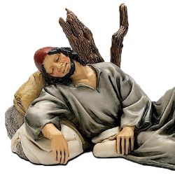 Immagine per la categoria Benino il Pastore Dormiente