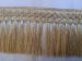 Picture of Cord Fringe Trim gold H. cm 8 (3,1 inch) Viscose Polyester Passementerie for liturgical Vestments