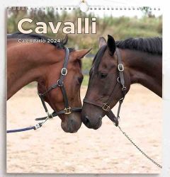 Picture of Horses 2024 wall Calendar cm 31x33 (12,2x13 in)