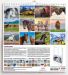 Picture of Horses 2025 wall Calendar cm 31x33 (12,2x13 in)