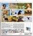Picture of Dogs 2024 wall Calendar cm 31x33 (12,2x13 in)