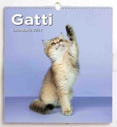 Picture of Cats 2024 wall Calendar cm 31x33 (12,2x13 in)