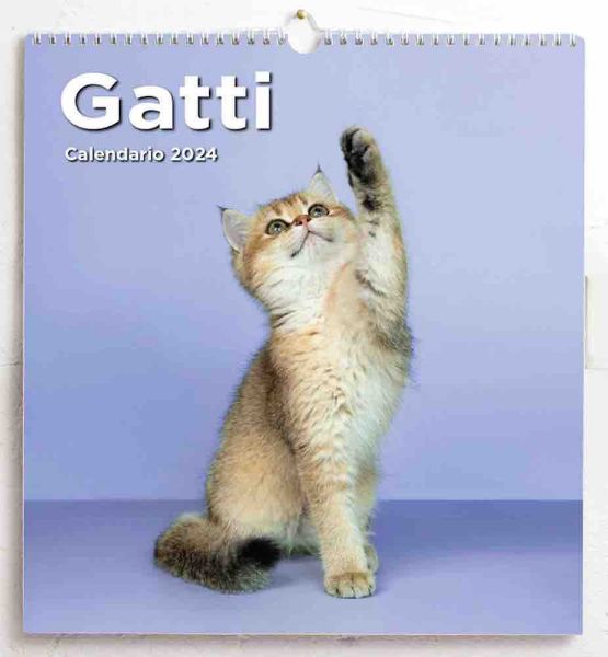Imagen de Cats 2024 wall Calendar cm 31x33 (12,2x13 in)
