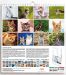 Picture of Cats 2024 wall Calendar cm 31x33 (12,2x13 in)
