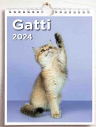 Imagen de Cats 2024 wall and desk calendar cm 16,5x21 (6,5x8,3 in)