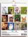 Immagine di Cats 2025 wall and desk calendar cm 16,5x21 (6,5x8,3 in)