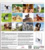 Picture of Hundekalender 2027 cm 31x33