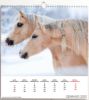 Immagine di Horses 2027 wall Calendar cm 31x33 (12,2x13 in)