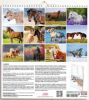 Immagine di Chevaux Calendrier mural 2027 cm 31x33