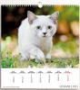 Immagine di Calendario da muro 2027 Gatti cm 31x33
