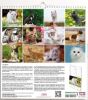 Picture of Katzenkalender 2027 cm 31x33