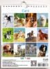 Immagine di Dogs 2027 wall and desk calendar cm 16,5x21 (6,5x8,3 in)