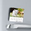 Immagine di Gatti Calendario magnetico 2027 cm 8x8