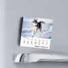 Picture of Cani Calendario magnetico 2027 cm 8x8