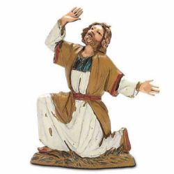 Immagine per la categoria Pastore Meravigliato