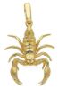 Picture of 18k yellow gold Scorpio Confirmation Pendant