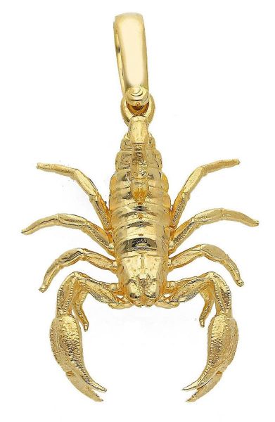 Picture of 18k yellow gold Scorpio Confirmation Pendant