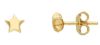Picture of 18k yellow gold Star lobe Earrings