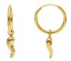 Picture of 18k yellow gold good Luck Horn Earrings