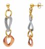 Picture of 9k tricolor gold Italian fancy Earrings
