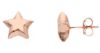 Imagen de Pendiente de lóbulo Estrella oro rosa 18k