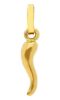 Picture of 18k yellow gold good Luck Horn Pendant