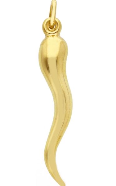 Immagine di Ciondolo Corno porta Fortuna oro giallo 9k 