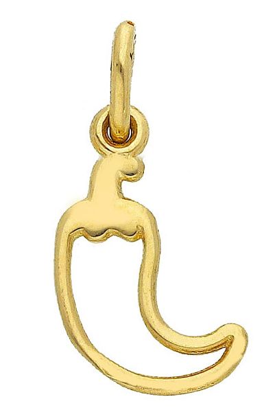 Immagine di Ciondolo Peperoncino a filo oro giallo 18k 