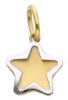 Picture of 18k bicolor gold double plate Star Pendant