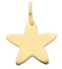 Immagine di Ciondolo Stella oro giallo 18k 
