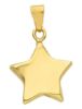 Imagen de Colgante Estrella oro amarillo 9k
