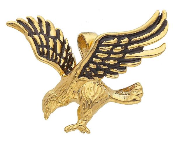 Imagen de Colgante para hombre Águila oro amarillo 18k esmalte negro