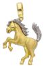 Immagine di Ciondolo Cavallo oro bicolor 18k uomo