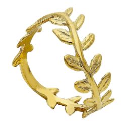 Immagine per la categoria Anello per Laurea