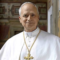 Immagine per la categoria Leone XIV: Articoli Religiosi e Libri