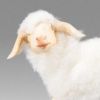 Picture of Lamb (left) with white wool Hannah Alpin Nativity 4,7 inch rustic style wood & fabric